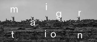 Migration Dance Film Project